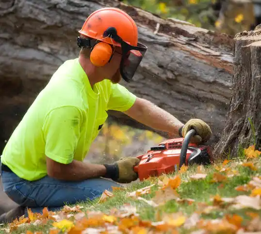 tree services Onekama